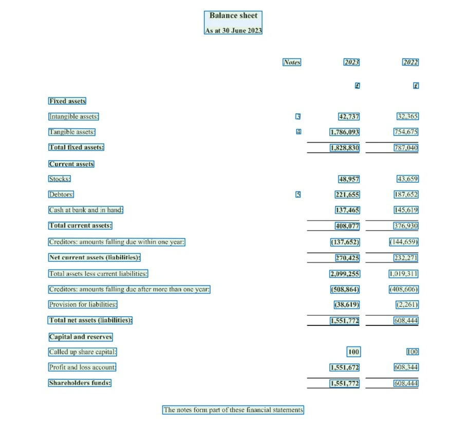 In an example table (‘Balance sheet’), terms and figures are marked with bounding boxes.