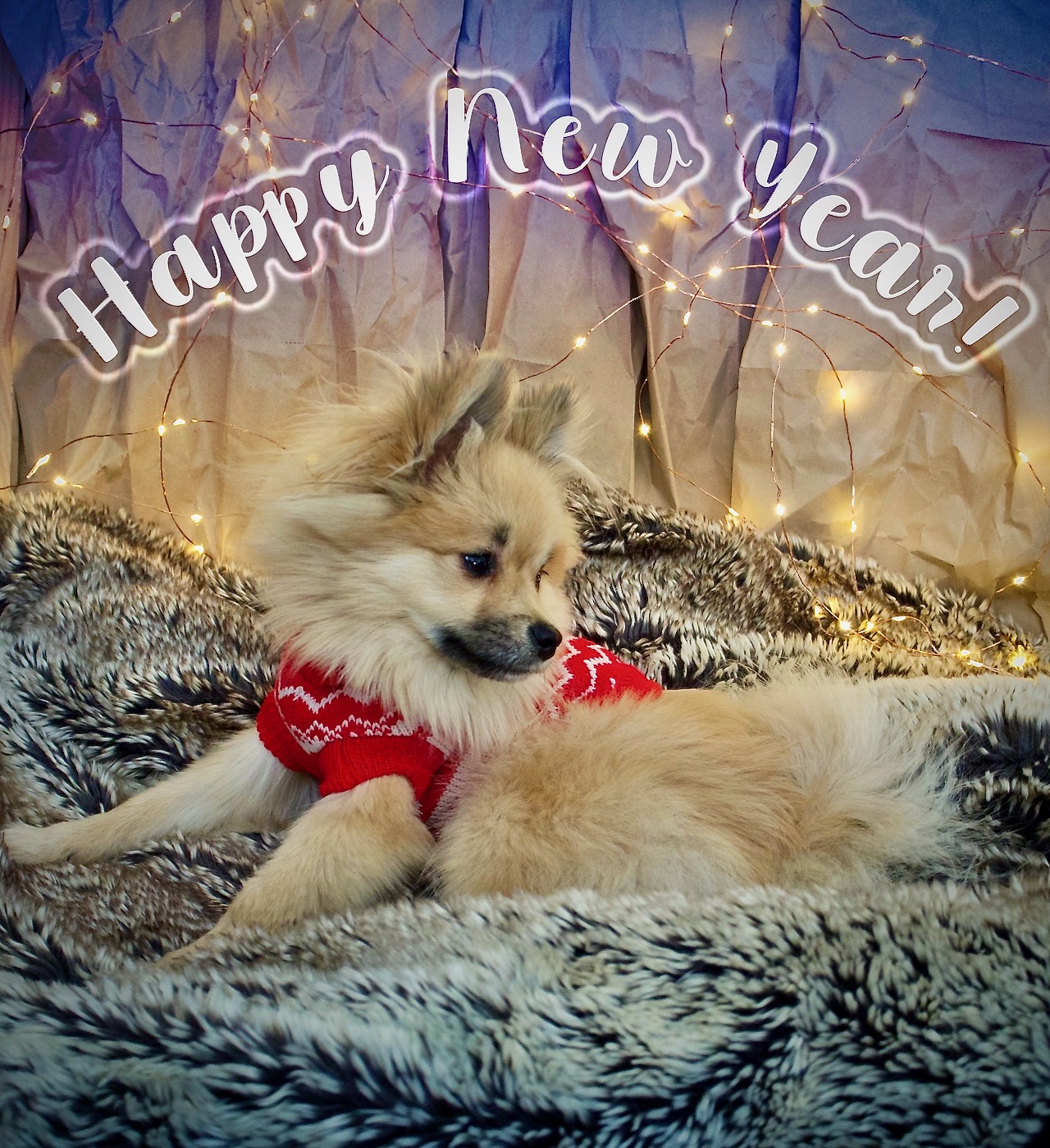 Happy New Year from Io