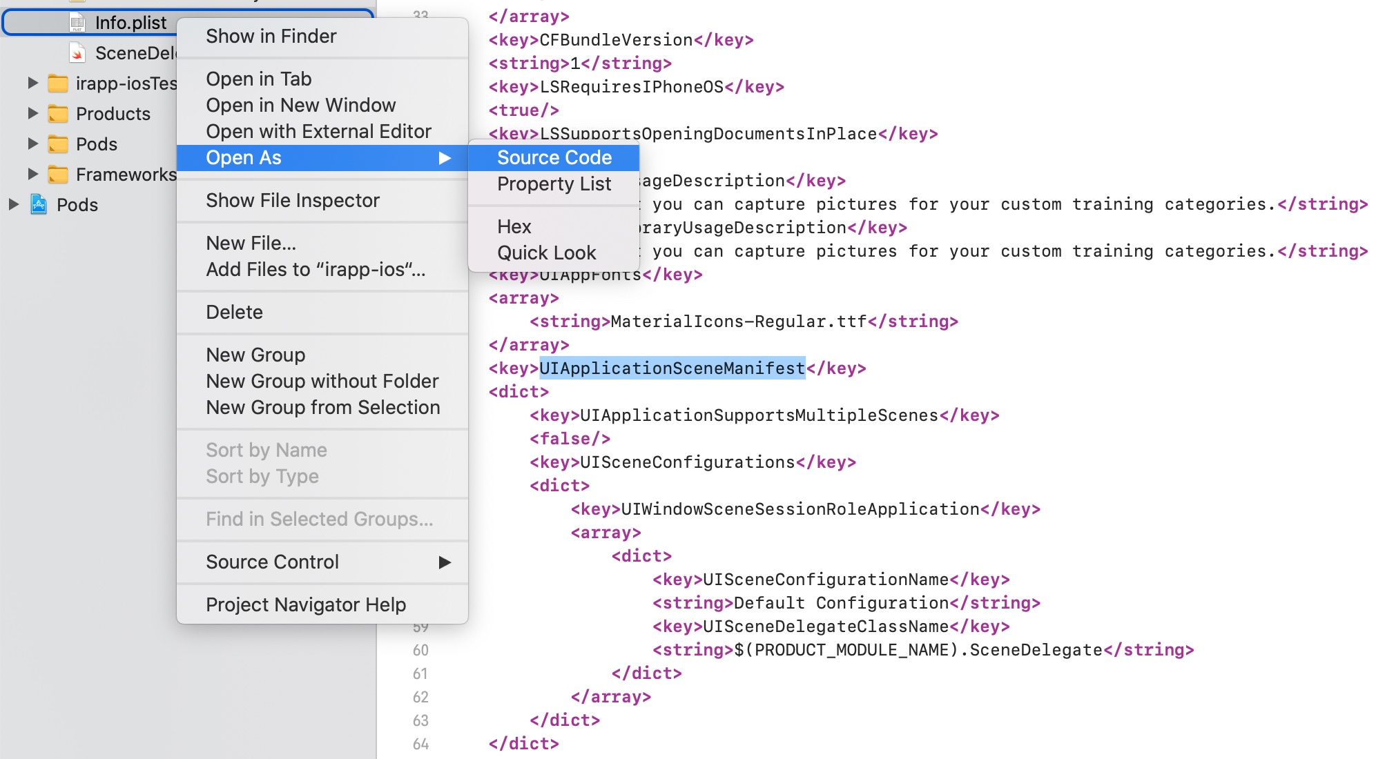 Open Info.plist as Source Code